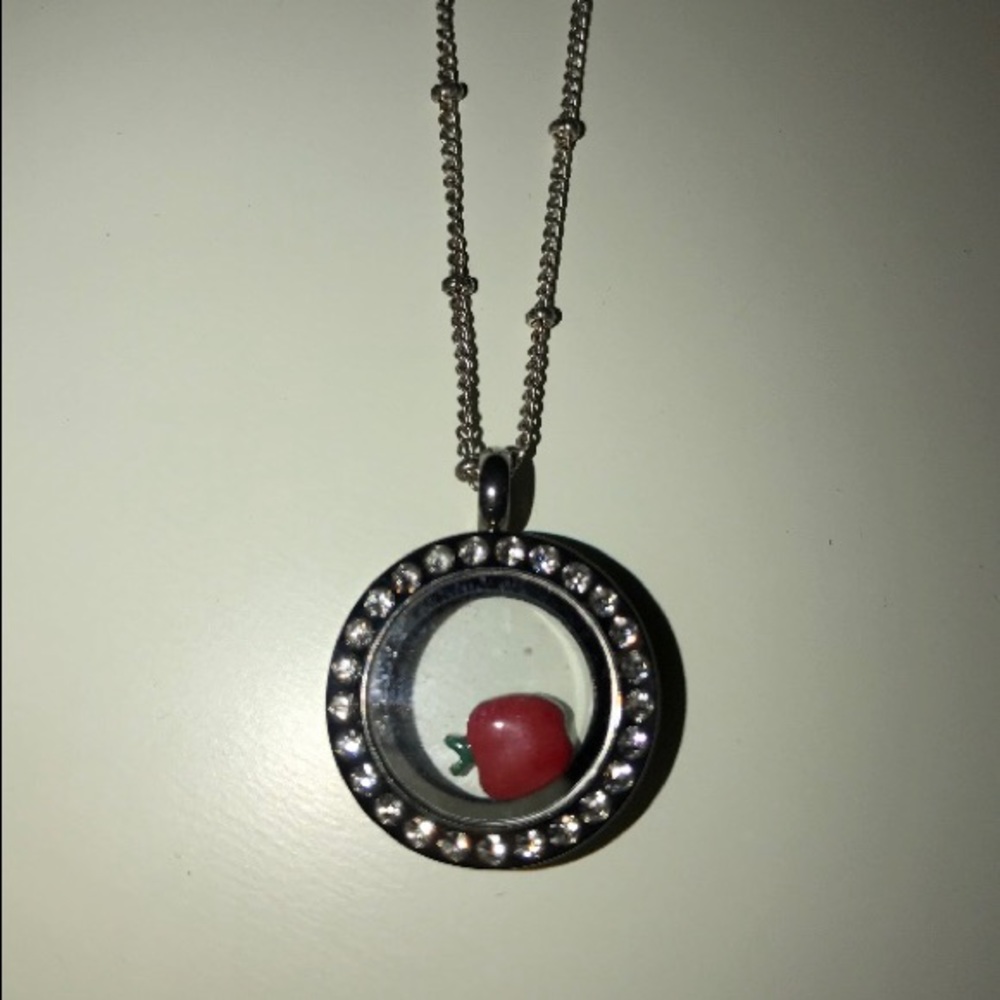 Origami Owl Necklace, Living Locket, and Charm